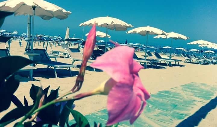 Imagen general del Camping Happy Village. Foto 4