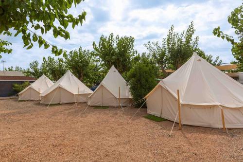 Imagen general del Camping Holacamp Costa Azahar. Foto 11