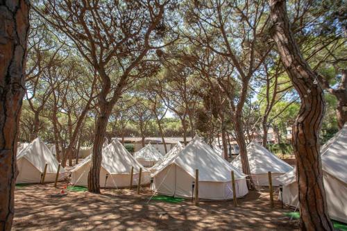 Imagen general del Camping Holacamp Costa Brava. Foto 2