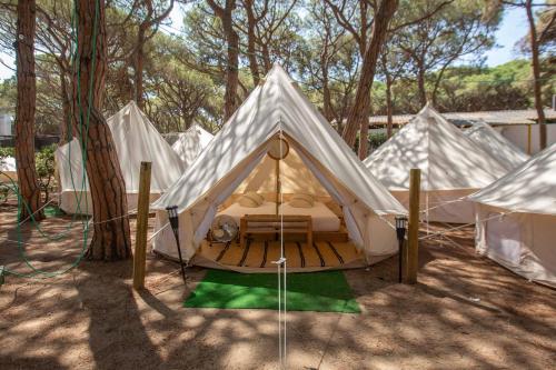 Imagen general del Camping Holacamp Costa Brava. Foto 3