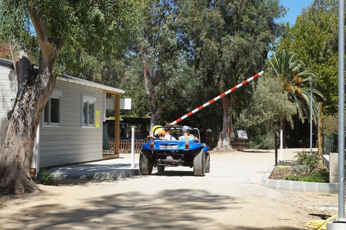 Imagen de los interiores del Camping International, Calvi. Foto 19