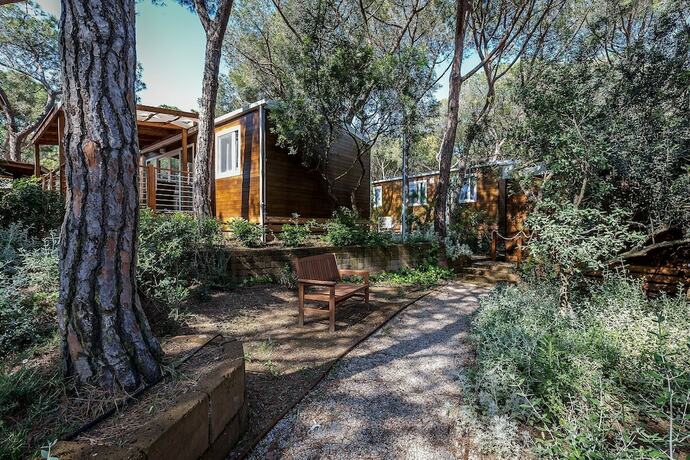 Imagen general del Camping Internazionale Etruria. Foto 14