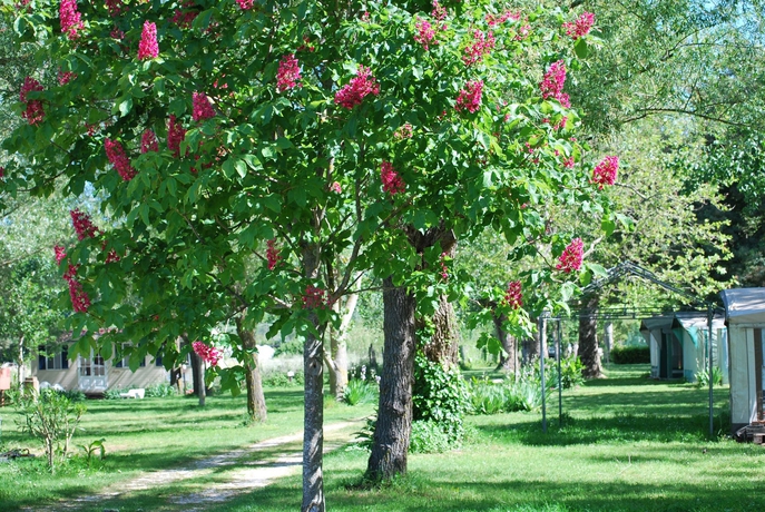 Imagen de los exteriores del Camping Internazionale Lago Di Bracciano. Foto 11