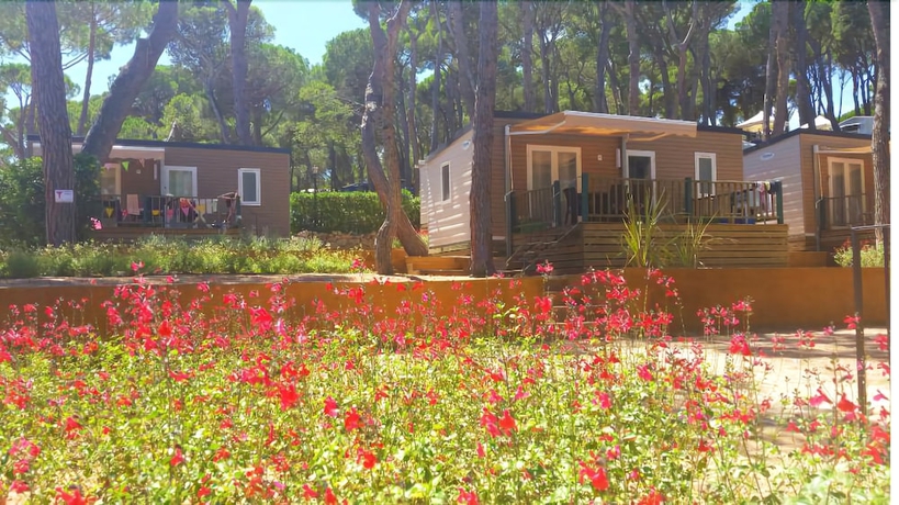 Imagen de la habitación del Camping Interpals. Foto 7