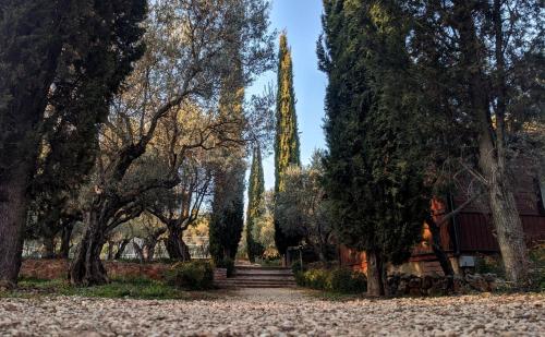 Imagen general del Camping Kampaoh Alqu&eacute;zar. Foto 9