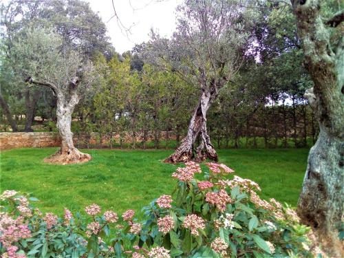 Imagen general del Camping Kampaoh Alqu&eacute;zar. Foto 11