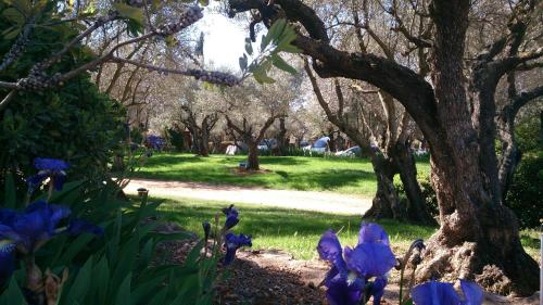 Imagen general del Camping Kampaoh Alqu&eacute;zar. Foto 12