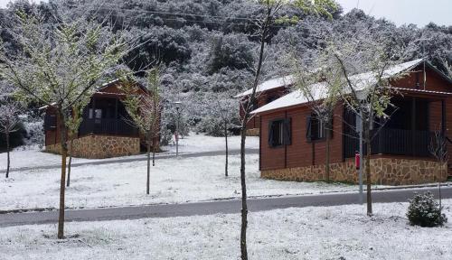 Imagen general del Camping Kampaoh Caba&ntilde;eros. Foto 17