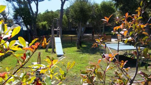 Imagen general del Camping Kampaoh Calella de Palafrugell. Foto 10