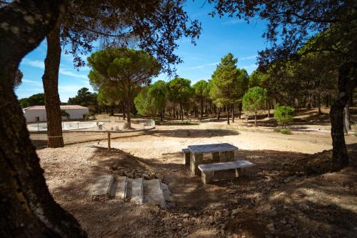 Imagen de los exteriores del Camping Kampaoh C&oacute;rdoba. Foto 13