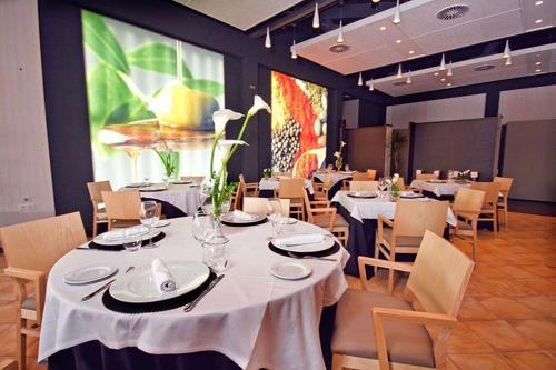 Imagen del bar/restaurante del Camping Kampaoh Crevillent. Foto 2