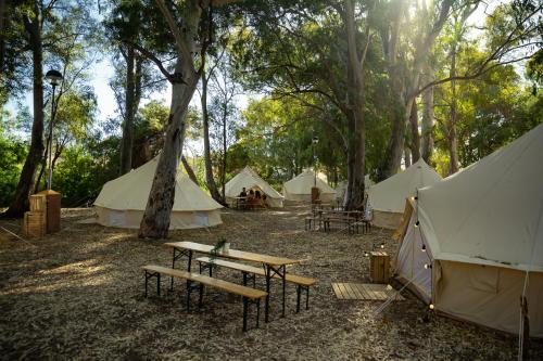Imagen de los exteriores del Camping Kampaoh El Puerto de Santa María. Foto 10