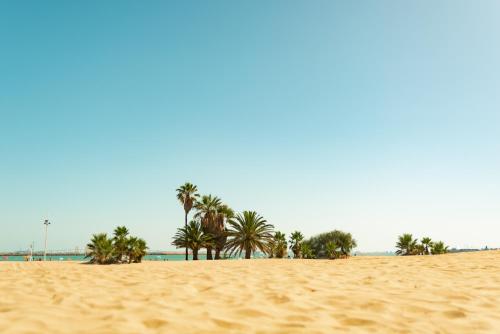 Imagen de los exteriores del Camping Kampaoh El Puerto de Santa María. Foto 11