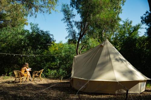 Imagen de los exteriores del Camping Kampaoh El Puerto de Santa María. Foto 12