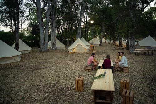 Imagen de los exteriores del Camping Kampaoh El Puerto de Santa María. Foto 14