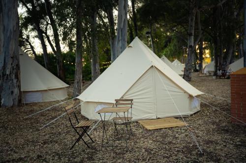 Imagen de los exteriores del Camping Kampaoh El Puerto de Santa María. Foto 16