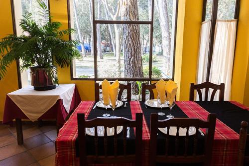 Imagen del bar/restaurante del Camping Kampaoh Esponellà. Foto 2