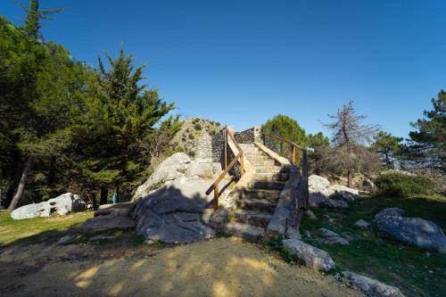 Imagen general del Camping Kampaoh Grazalema. Foto 6