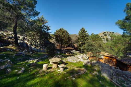 Imagen general del Camping Kampaoh Grazalema. Foto 8
