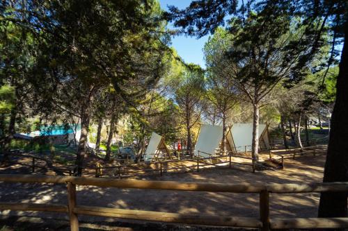 Imagen general del Camping Kampaoh Grazalema. Foto 14