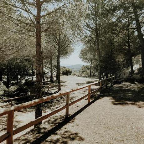 Imagen general del Camping Kampaoh Grazalema. Foto 15