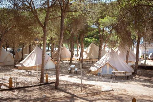 Imagen de los exteriores del Camping Kampaoh Isla Cristina. Foto 13