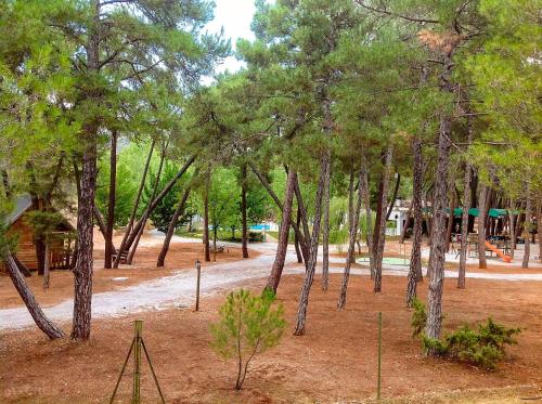 Imagen de los exteriores del Camping Kampaoh La Bolera. Foto 6