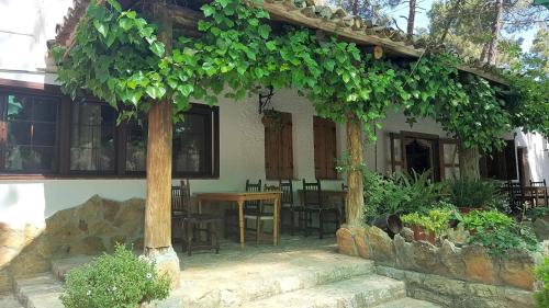 Imagen de los exteriores del Camping Kampaoh La Bolera. Foto 7