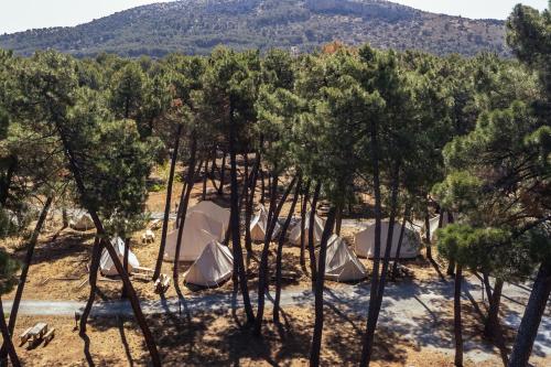 Imagen de los exteriores del Camping Kampaoh La Bolera. Foto 11