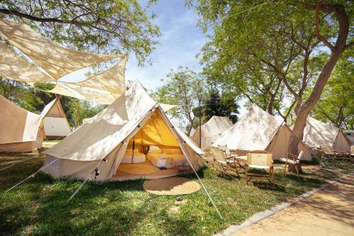 Imagen general del Camping Kampaoh Lago de Arcos. Foto 9