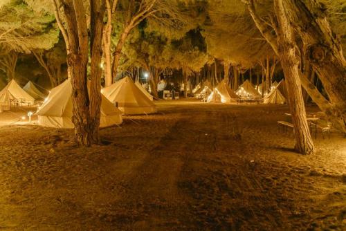 Imagen de los exteriores del Camping Kampaoh Los Ca&ntilde;os. Foto 10