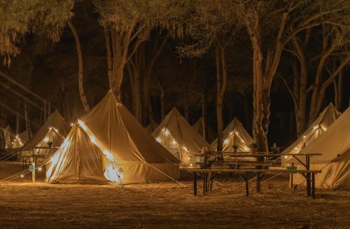 Imagen de los exteriores del Camping Kampaoh Los Ca&ntilde;os. Foto 11