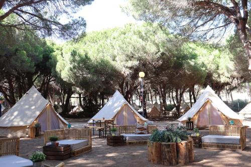 Imagen de los exteriores del Camping Kampaoh Los Ca&ntilde;os. Foto 12