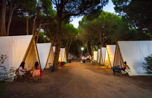 Imagen de los exteriores del Camping Kampaoh Los Ca&ntilde;os. Foto 15