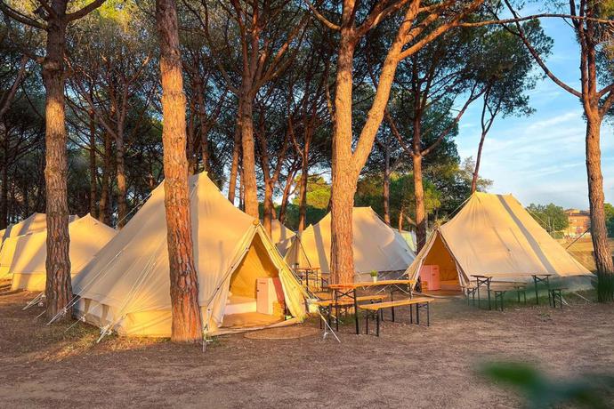 Imagen de los interiores del Camping Kampaoh Palam&oacute;s Internacional. Foto 6