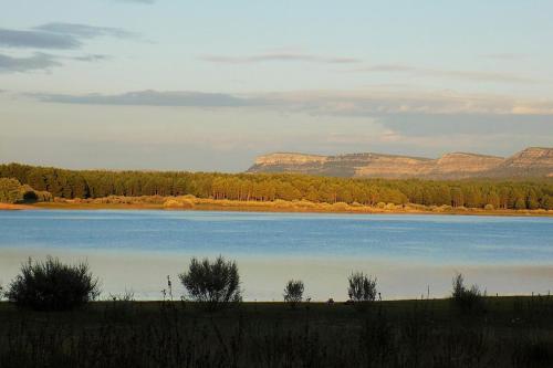 Imagen general del Camping Kampaoh Picos de Urbión. Foto 15