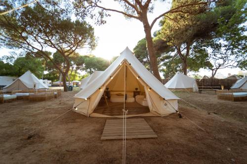 Imagen general del Camping Kampaoh Platja d'Aro. Foto 11