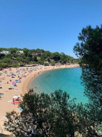 Imagen general del Camping Kampaoh Platja d'Aro. Foto 16