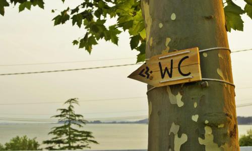 Imagen general del Camping Kampaoh Rianxo. Foto 6