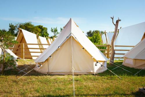 Imagen general del Camping Kampaoh Somo Playa. Foto 14