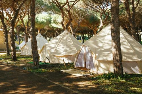Imagen de los exteriores del Camping Kampaoh Tarifa. Foto 11