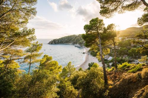 Imagen general del Camping Kampaoh Tossa de Mar. Foto 6