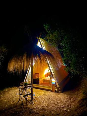 Imagen general del Camping Kampaoh Tossa de Mar. Foto 9