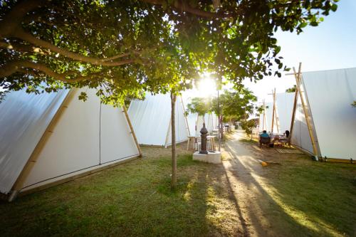 Imagen general del Camping Kampaoh Trafalgar. Foto 6