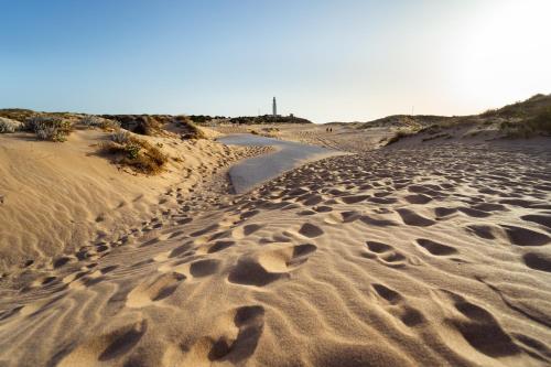 Imagen general del Camping Kampaoh Trafalgar. Foto 8