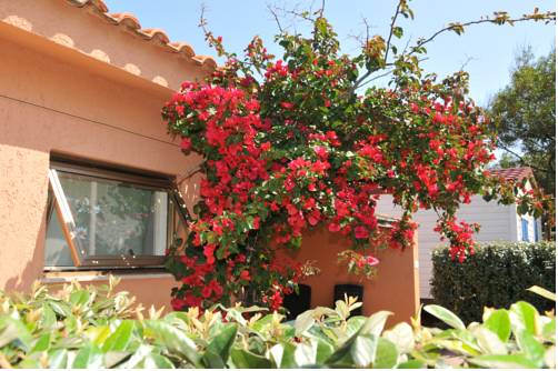 Imagen de la habitación del Camping Kampaoh Valledoria. Foto 11