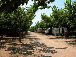 Imagen de los exteriores del Camping La Llosa. Foto 5