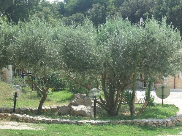 Imagen general del Camping La Montagne, SORGUES. Foto 10