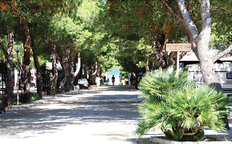 Imagen de los exteriores del Camping La Pineta, San Vito Lo Capo. Foto 11