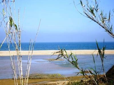 Imagen general del Camping La Tordera. Foto 14